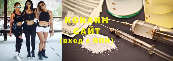спиды Богородицк