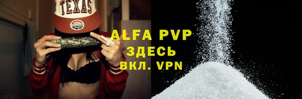 спиды Богородицк
