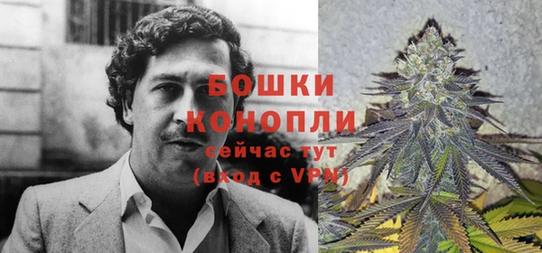 спиды Богородицк