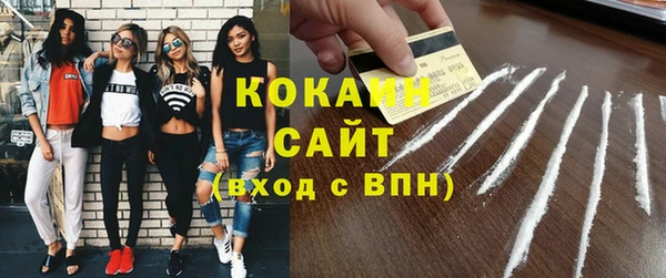 спиды Богородицк