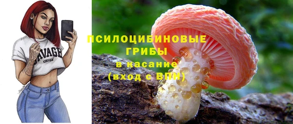 спиды Богородицк