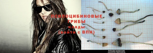 не бодяженный Богданович