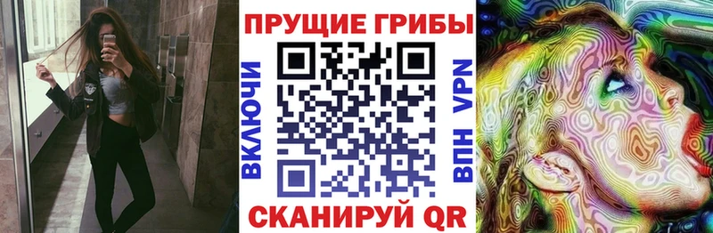Псилоцибиновые грибы Cubensis  Чапаевск 